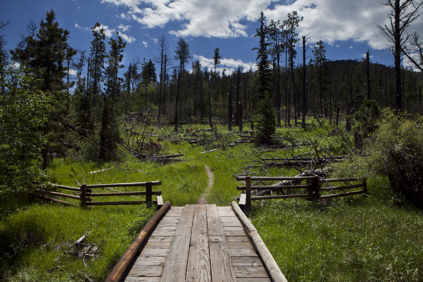 No. 27 Lost Cabin Trail